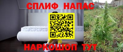 наркотики Кингисепп