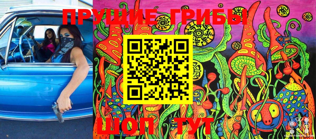 Псилоцибиновые грибы MAGIC MUSHROOMS  Вход с VPN  Когалым 